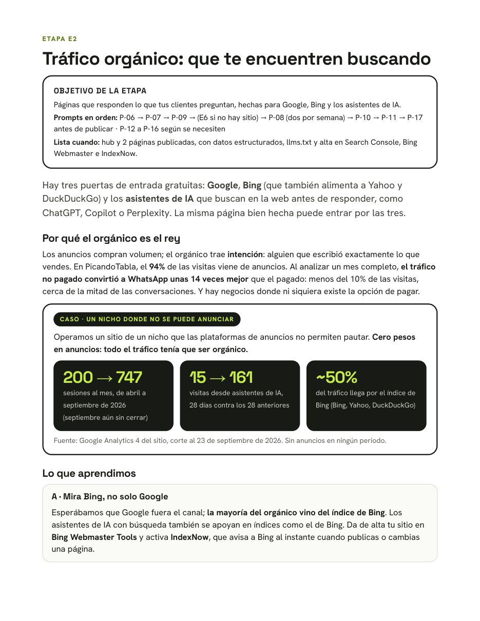 Página de tráfico orgánico del playbook